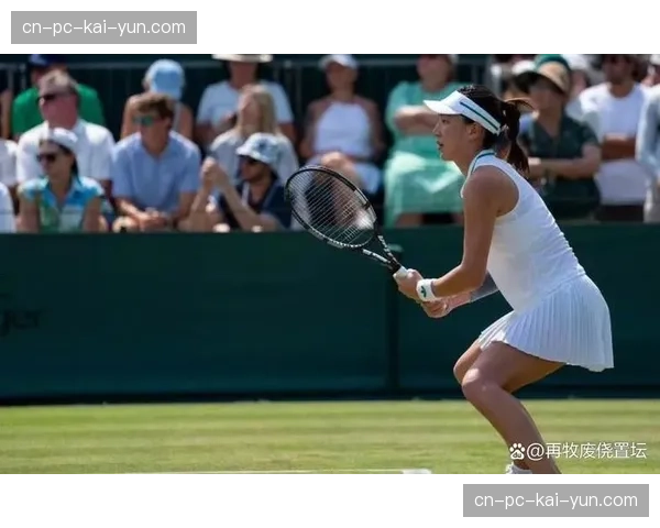 温网组委会考虑调整种子规则，或将更侧重近期草地战绩